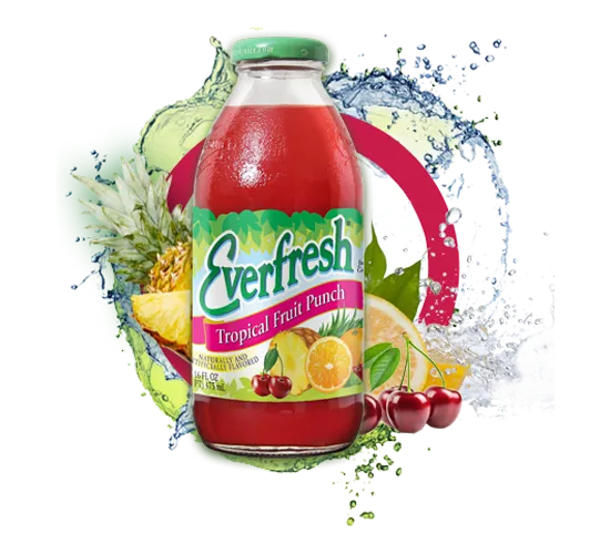 Everfresh Fruit Punch 16 fl.oz. 12CS