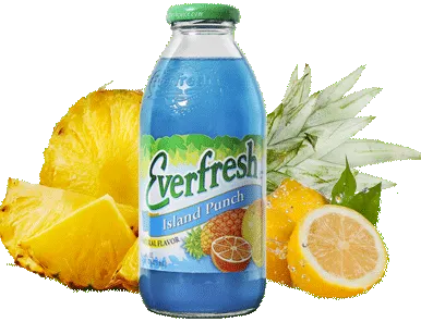 Everfresh Island Punch 16 fl.oz. 12CS