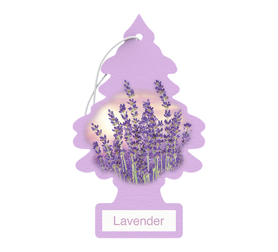 LT CF - Lavender 24Pk