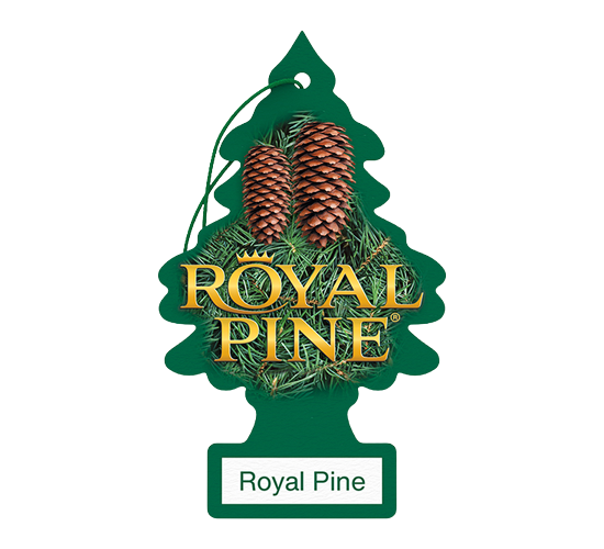 LT CF - Royal Pine 24Pk