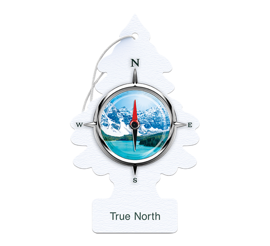 LT CF - True North 24Pk